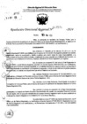 Vista preliminar de documento RDR 7576-2024