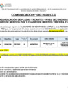 Vista preliminar de documento COMUNICADO 087-2024-CCD - ADJ SECUNDARIA
