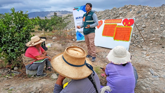 Trabajo articulado de la cadena agroalimentaria garantiza alimentos inocuos para los consumidores - Senasa