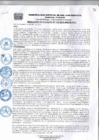 Vista preliminar de documento Resolucion110_2018