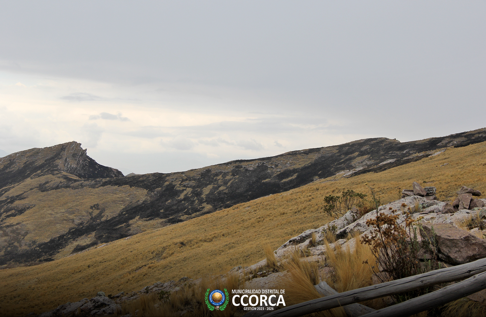 Monitoreo In Situ para Evaluar Daños de Incendio Forestal