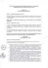 Vista preliminar de documento TEXTO ACTUALIZADO DE LA CIAS