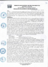 Vista preliminar de documento Resolucion185_2018