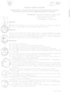 Vista preliminar de documento DIRECTIVA N°008-2024