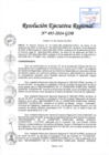 Vista preliminar de documento RER 495-2024-GOB