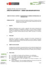 Vista preliminar de documento DIRECTIVA ESPECÍFICA-000001-2024-DE
