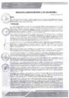 Vista preliminar de documento rgm-321