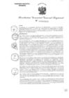 Vista preliminar de documento RGGR 493-2024
