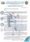 Vista preliminar de documento RA 273-2024 designación RESPONSABLE SEGUIMIENTO NICS