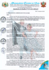 Vista preliminar de documento RA 276-2024 aprobación INCORPORACION BALANCE