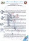 Vista preliminar de documento RA 277-2024 aprobación DIRECTIVA RECONOCIMIENTO DE SERVIDORES