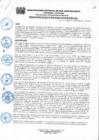 Vista preliminar de documento Resolucion265_2018
