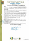 Vista preliminar de documento Resolucion271_2018