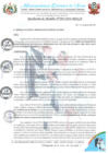 Vista preliminar de documento RA 289-2024 aprobación de INCORPORACION DS 156-2024