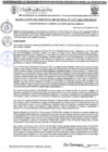 Vista preliminar de documento RGM 1127-2024