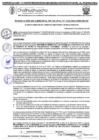 Vista preliminar de documento RGM 1131-2024