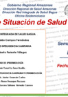 Vista preliminar de documento Sala Semanal y Mensual Provincia Bagua_RSB_Octubre-08-10-2024