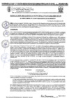 Vista preliminar de documento RGM 1133-2024
