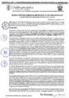 Vista preliminar de documento RGM 1137-2024