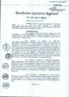 Vista preliminar de documento Resolucion Ejecutiva Regional N°199-2015-PRES
