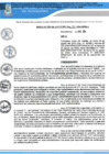 Vista preliminar de documento RA N 319_2024 QR