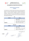 Vista preliminar de documento FE de ERRATAS del Proceso CAS-06-2024