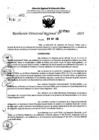 Vista preliminar de documento RDR 7589-2024