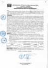 Vista preliminar de documento Resolucion295_2018