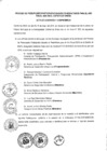 Vista preliminar de documento Presupuesto Participativo 2020
