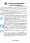 Vista preliminar de documento Resolucion335_2018