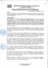 Vista preliminar de documento Resolucion381_2018