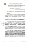 Vista preliminar de documento GDE-388-2024