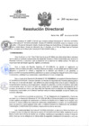 Vista preliminar de documento R. D. N° 160-DG-HHV-2024