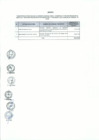 Vista preliminar de documento Anexo N° 098-2015-DV-PE