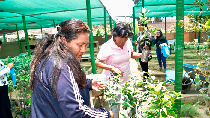 Fotos: Oficina de Imagen Institucional de la GRALL.