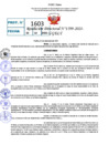 Vista preliminar de documento R.D 1599-2021