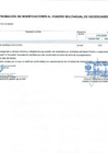 Vista preliminar de documento Anexo N° 6 - Aprobación de Modificaciones al Cuadro Multianual de Necesidades N° 00000421