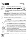 Vista preliminar de documento RDR 8816-2024