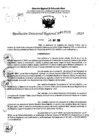 Vista preliminar de documento RDR 7593-2024