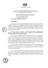 Vista preliminar de documento RA N 206 - Recon. Docente Reyna de la Familia