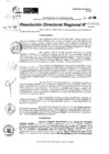 Vista preliminar de documento RDR 8824-2024