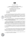 Vista preliminar de documento RA N 214 -Recon. Reyna de la Familia