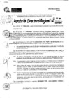 Vista preliminar de documento RDR 8826-2024