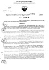Vista preliminar de documento RDR 7602-2024