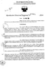 Vista preliminar de documento RDR 7601-2024