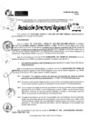 Vista preliminar de documento RDR 8828-2024
