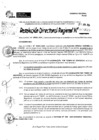 Vista preliminar de documento RDR 8829-2024