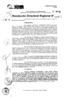 Vista preliminar de documento RDR 8831-2024