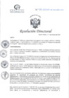 Vista preliminar de documento RD N°314-10-2024-DE-HCLLH-MINSA