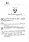 Vista preliminar de documento RD N°315-10-2024-DE-HCLLH-MINSA